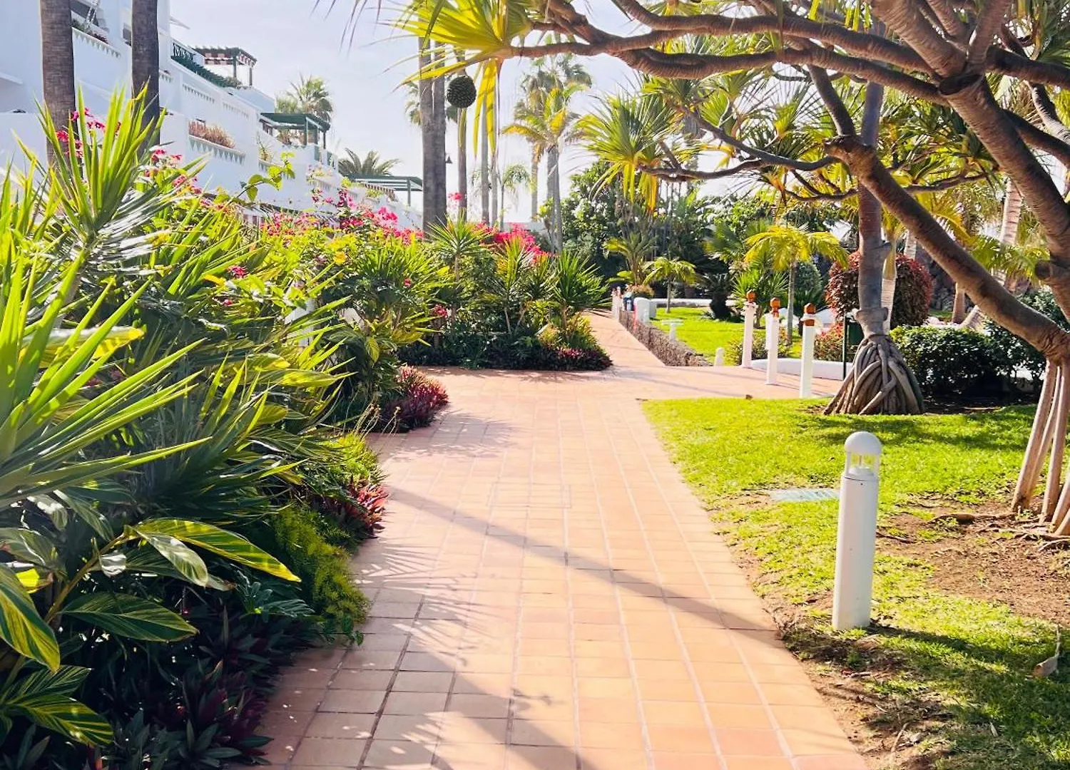 Prime Garden-View Studios Arona  0*, Arona (Tenerife)